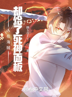 人在海贼，却给了死神面板封面